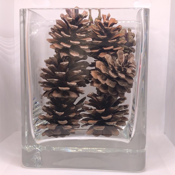 Beautiful Square Heavy Glass Vase with 1 Dozen (12) Northeast Pine Cones 7” Vase - Picture 7 of 8